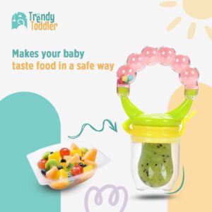 Baby Fruit & Food Feeder Pacifier